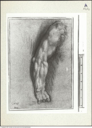 Vorderseite von bh359886_recto