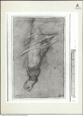 Vorderseite von bh359888_recto