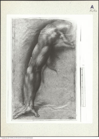 Vorderseite von bh359889_recto