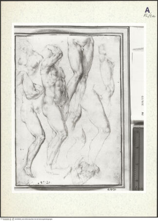 Vorderseite von bh359890_recto