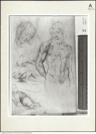 Vorderseite von bh359891_recto