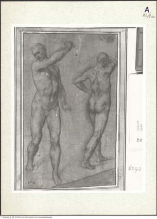 Vorderseite von bh359892_recto