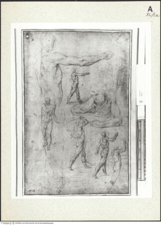 Vorderseite von bh359893_recto