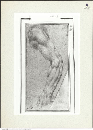 Vorderseite von bh359894_recto