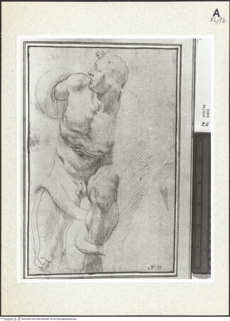 Vorderseite von bh359896_recto