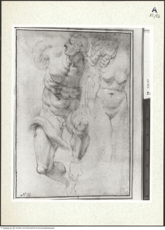 Vorderseite von bh359897_recto