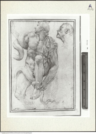 Vorderseite von bh359898_recto