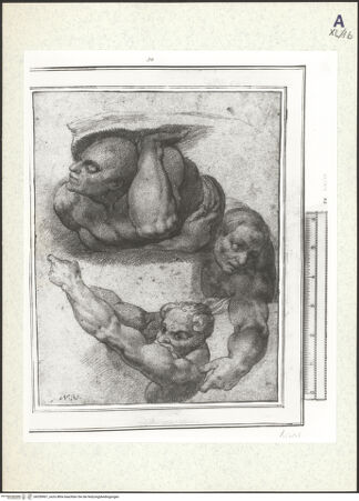 Vorderseite von bh359901_recto