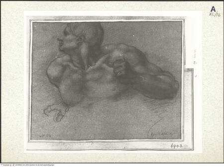 Vorderseite von bh359904_recto