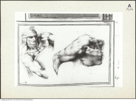 Vorderseite von bh359911_recto