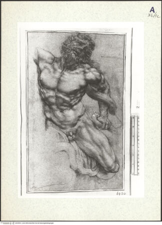 Vorderseite von bh359921_recto