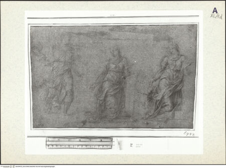 Vorderseite von bh359925_recto