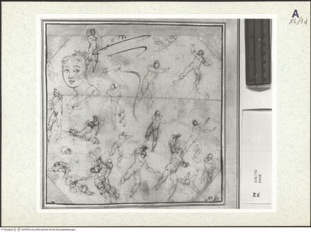 Vorderseite von bh359929_recto