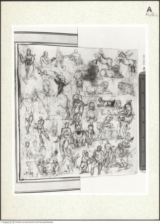 Vorderseite von bh359936_recto