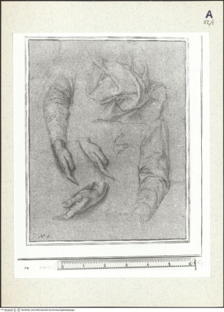 Vorderseite von bh359946_recto