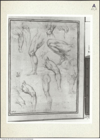 Vorderseite von bh359948_recto