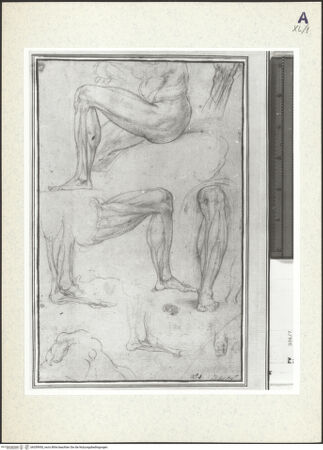 Vorderseite von bh359950_recto