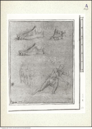 Vorderseite von bh359951_recto