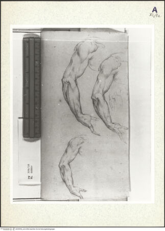 Vorderseite von bh359956_recto