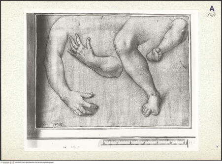 Vorderseite von bh359957_recto