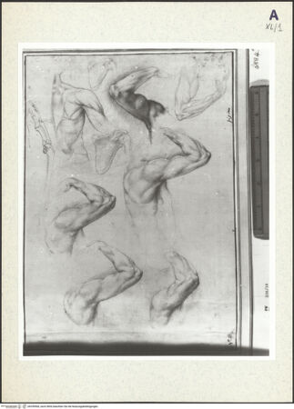 Vorderseite von bh359960_recto