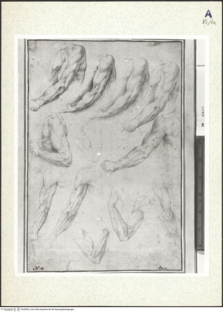 Vorderseite von bh359961_recto