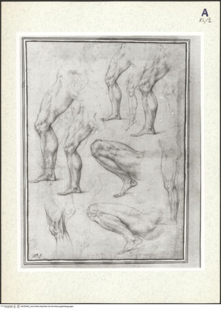 Vorderseite von bh359962_recto