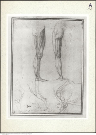 Vorderseite von bh359964_recto