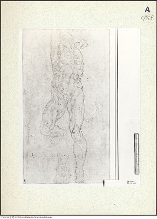 Vorderseite von bh359983_recto