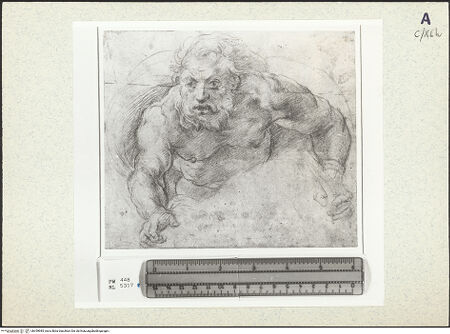 Vorderseite von bh359985_recto