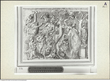 Vorderseite von bh360007_recto