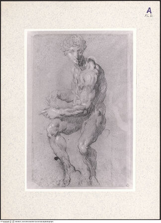 Vorderseite von bh360031_recto