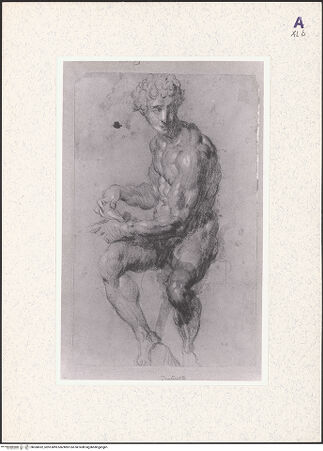 Vorderseite von bh360032_recto