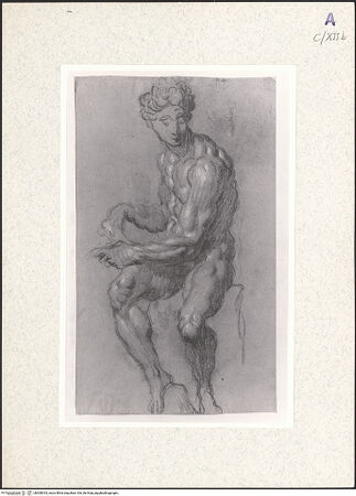 Vorderseite von bh360033_recto