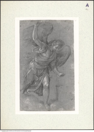 Vorderseite von bh360035_recto