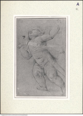 Vorderseite von bh360037_recto