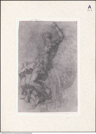 Vorderseite von bh360114_recto