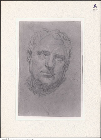 Vorderseite von bh360115_recto