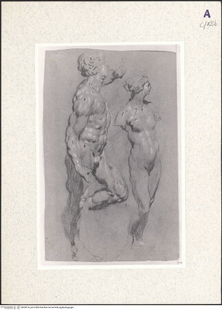 Vorderseite von bh360116_recto