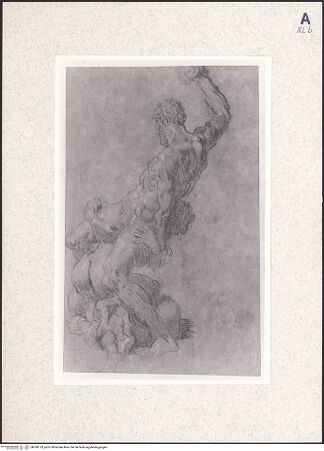 Vorderseite von bh360119_recto