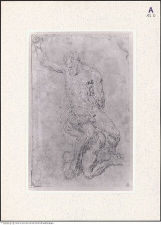 Vorderseite von bh360120_recto