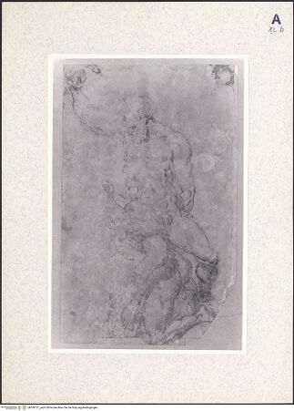 Vorderseite von bh360121_recto