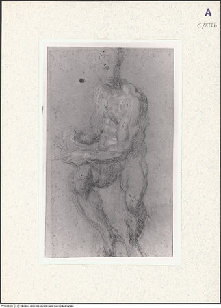 Vorderseite von bh360123_recto