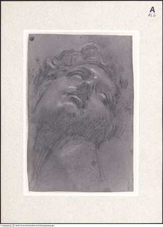 Vorderseite von bh360124_recto