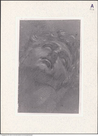 Vorderseite von bh360125_recto