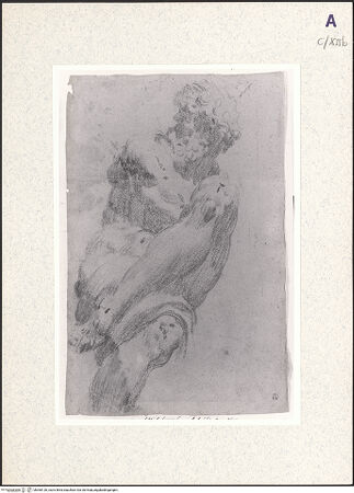 Vorderseite von bh360126_recto