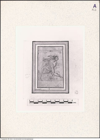 Vorderseite von bh360131_recto