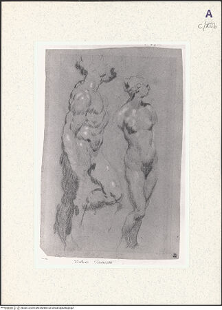 Vorderseite von bh360134_recto