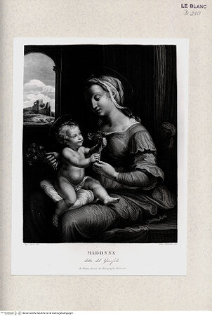 Vorderseite von Istituto Nazionale per la Grafica, Calcografia [http://creativecommons.org/publicdomain/mark/1.0/] "Madonna dei garofani" - , bh360168. Foto.