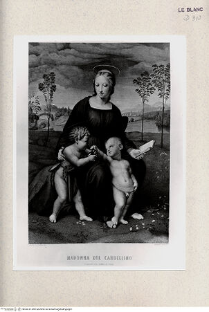 Vorderseite von Istituto Nazionale per la Grafica, Calcografia [http://creativecommons.org/publicdomain/mark/1.0/] "Madonna del Cardellino" - , bh360187. Foto.